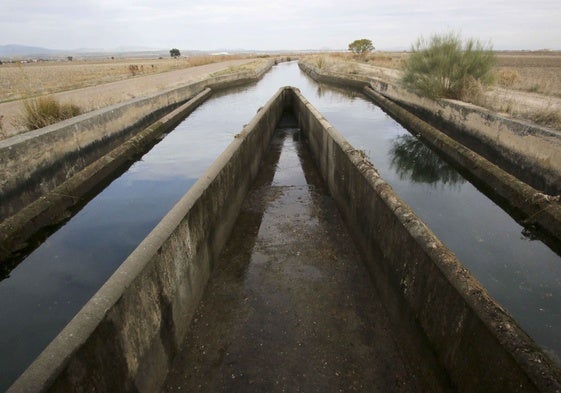 Acequias con agua del canal de Orellana, en las Vegas Altas del Guadiana, durante la campaña pasada de riego.