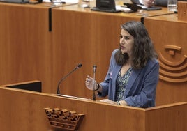 Irene de Miguel en la Asamblea en una imagen de archivo.