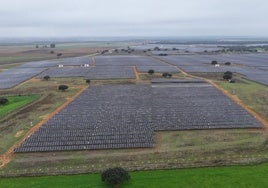 Panorámica de una de las tres fotovoltaicas puestas en marcha por Naturgy en el término de Badajoz.