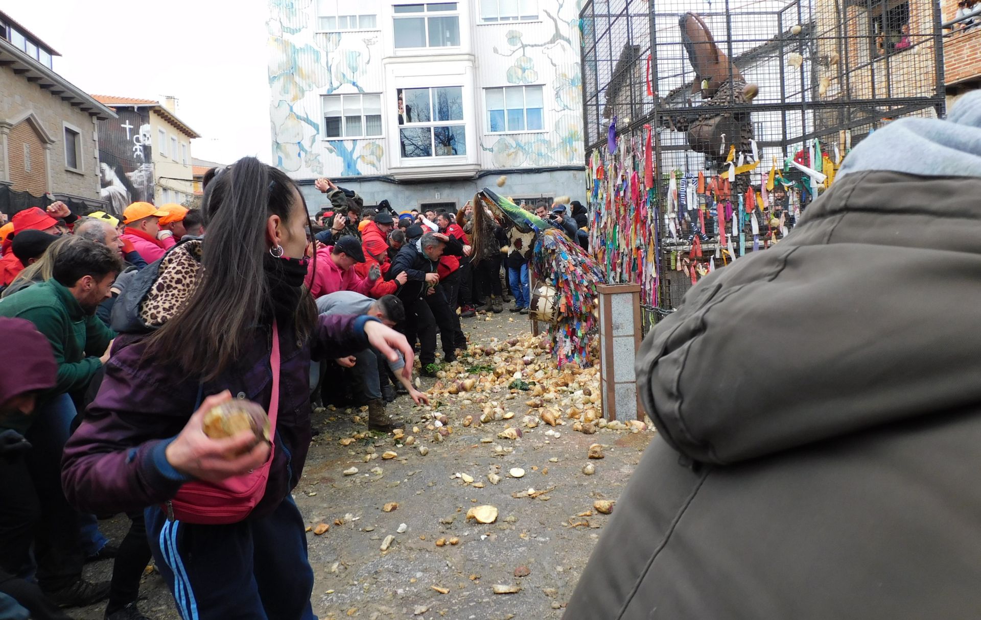 Toneladas de nabos caen sobre Jarramplas