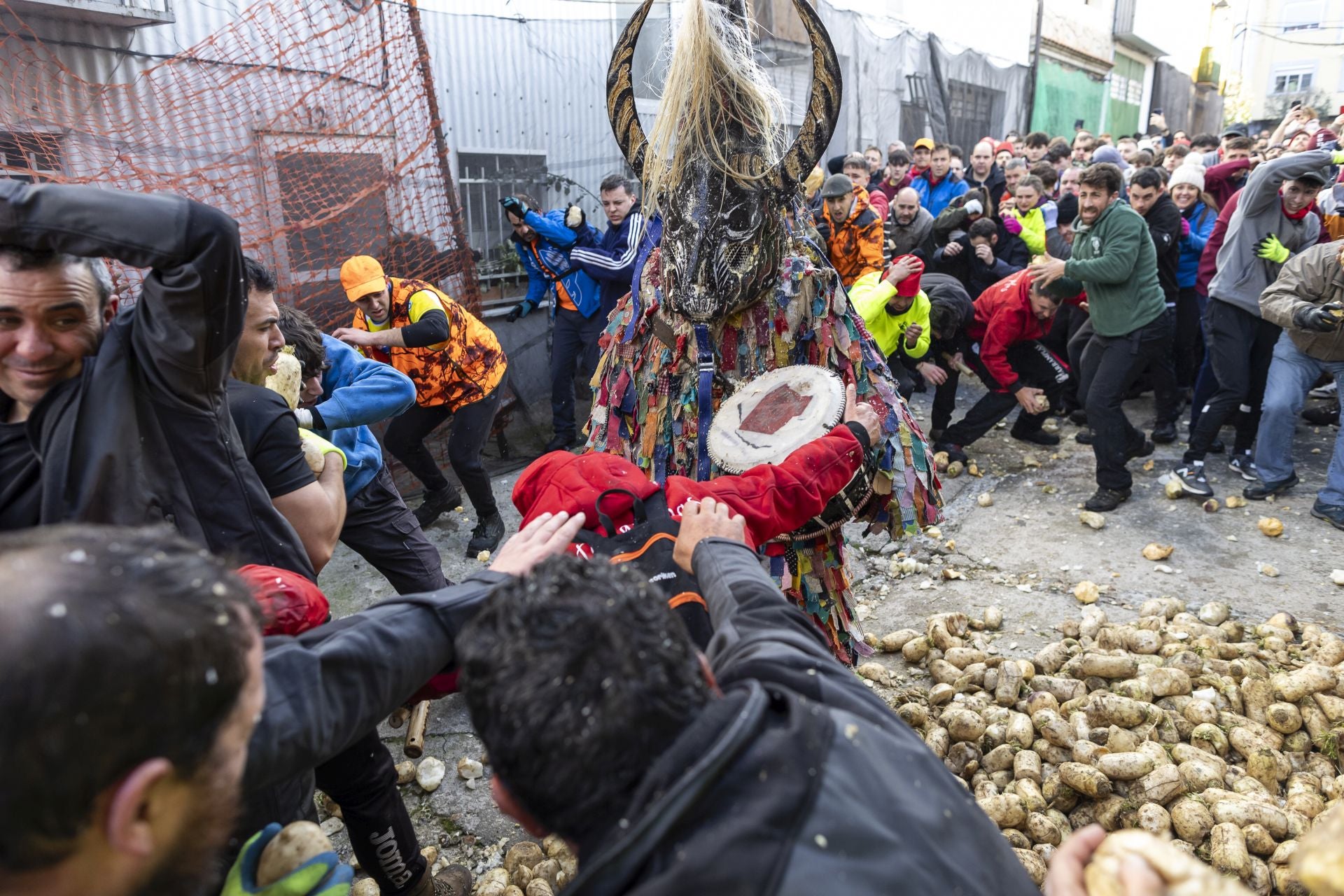 Toneladas de nabos caen sobre Jarramplas