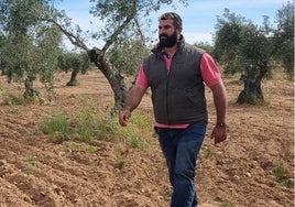 Jesús Carracedo, en su olivar de Trujillanos. Es uno de los últimos en incorporarse a la actividad agraria.