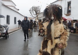 Las fieras vuelven a honrar al santo en Las Carantoñas