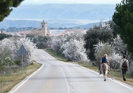 Tiempo de almendros