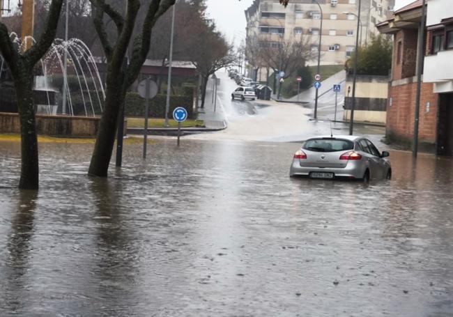 Cañada Real de Plasencia.