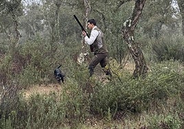 Un momento de la competición