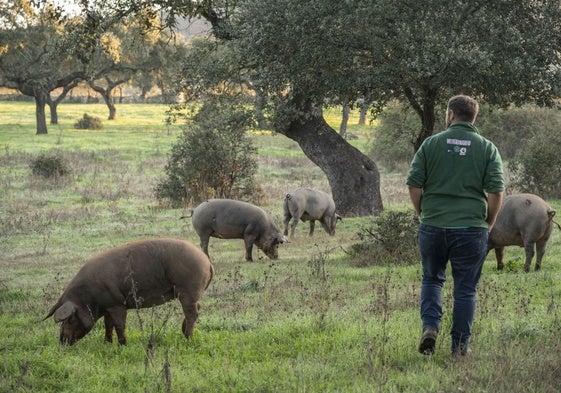 Biomonitorización de la dehesa, una herramienta estratégica