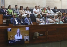 Gallardo, entre Osuna y González Andrade, en la investidura de Guardiola en la tribuna de la Asamblea.