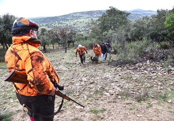 Casi 34.000 cazadores son socios de la Federación extremeña. En la foto, montería en Los Ibores.