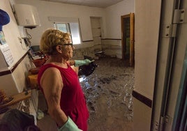 Una mujer contempla los daños ocasionados en su vivienda por una riada, en una foto de archivo.