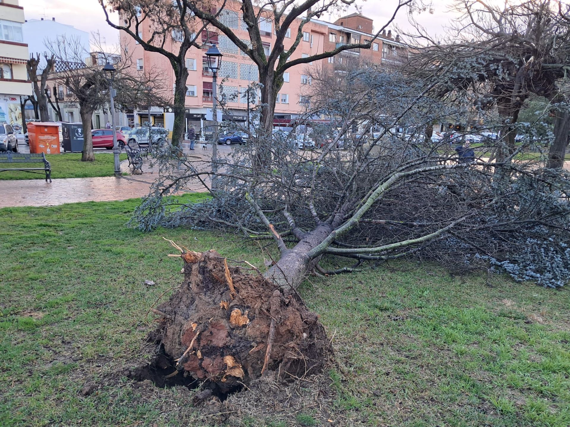 El vendaval de esta mañana en San Fernando, en imágenes