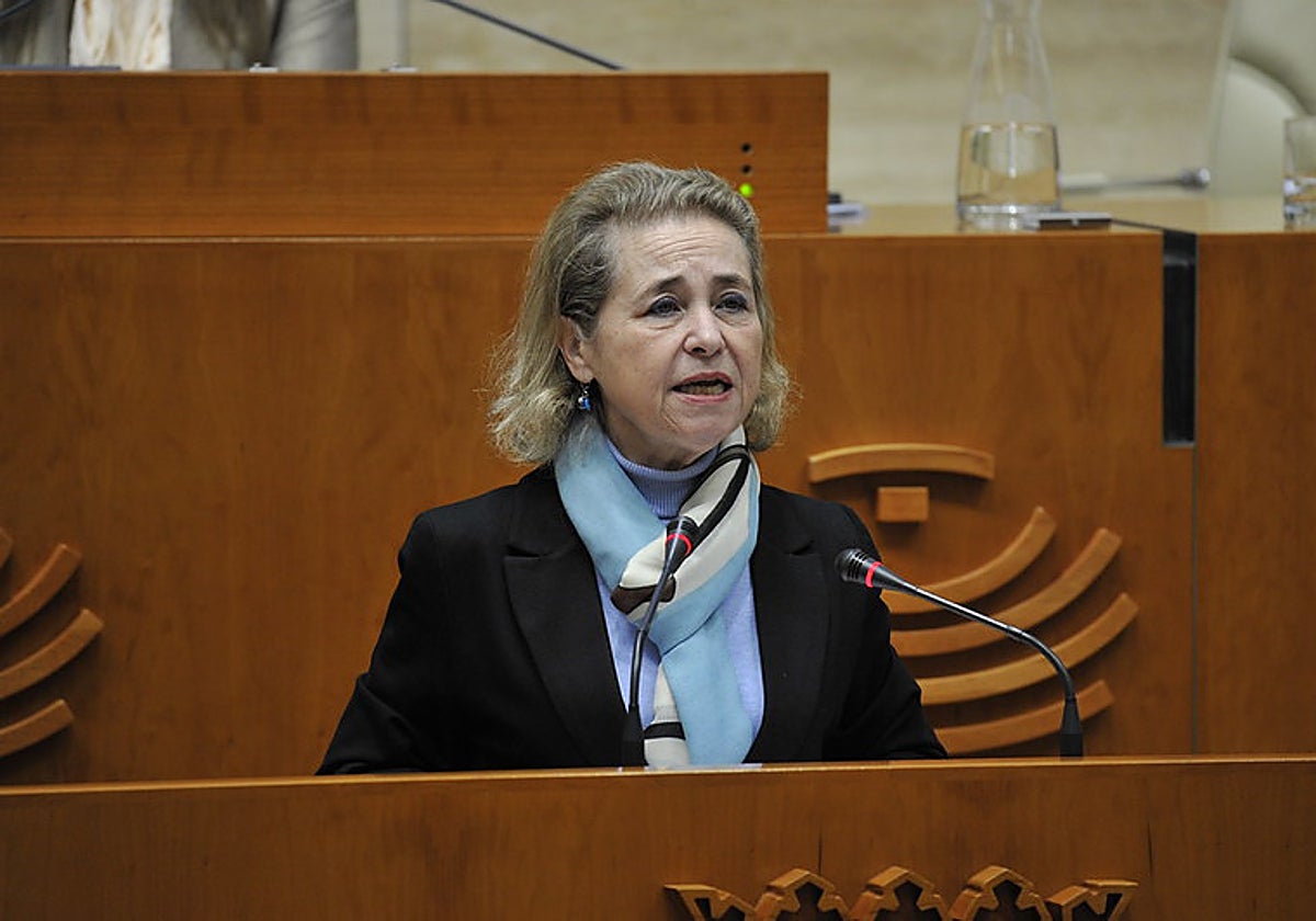 La consejera de Educación, Mercedes Vaquera, en el pleno de la Asamblea esta mañana.
