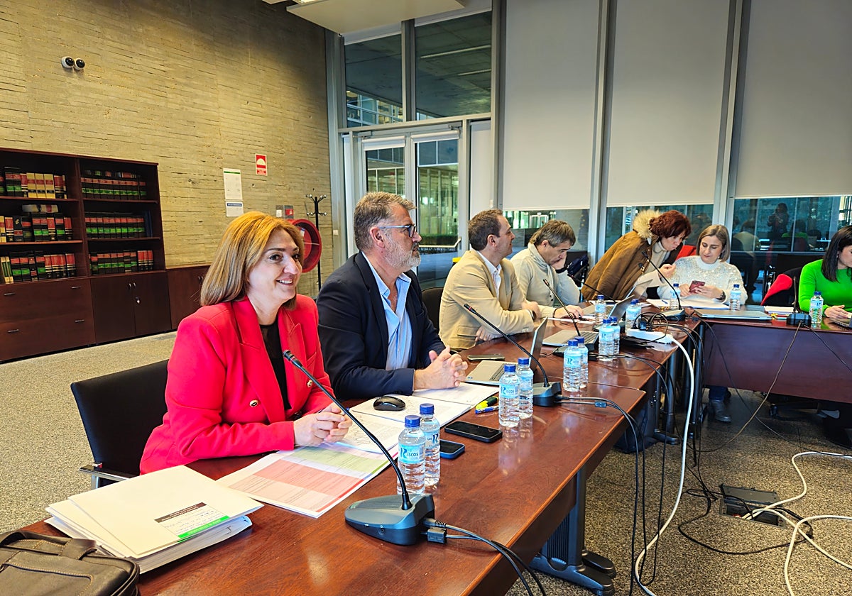 Pilar Pérez, secretaria general de Educación, en la sectorial de esta mañana.