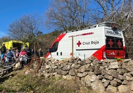 Equipos de emergencia en el lugar del suceso.