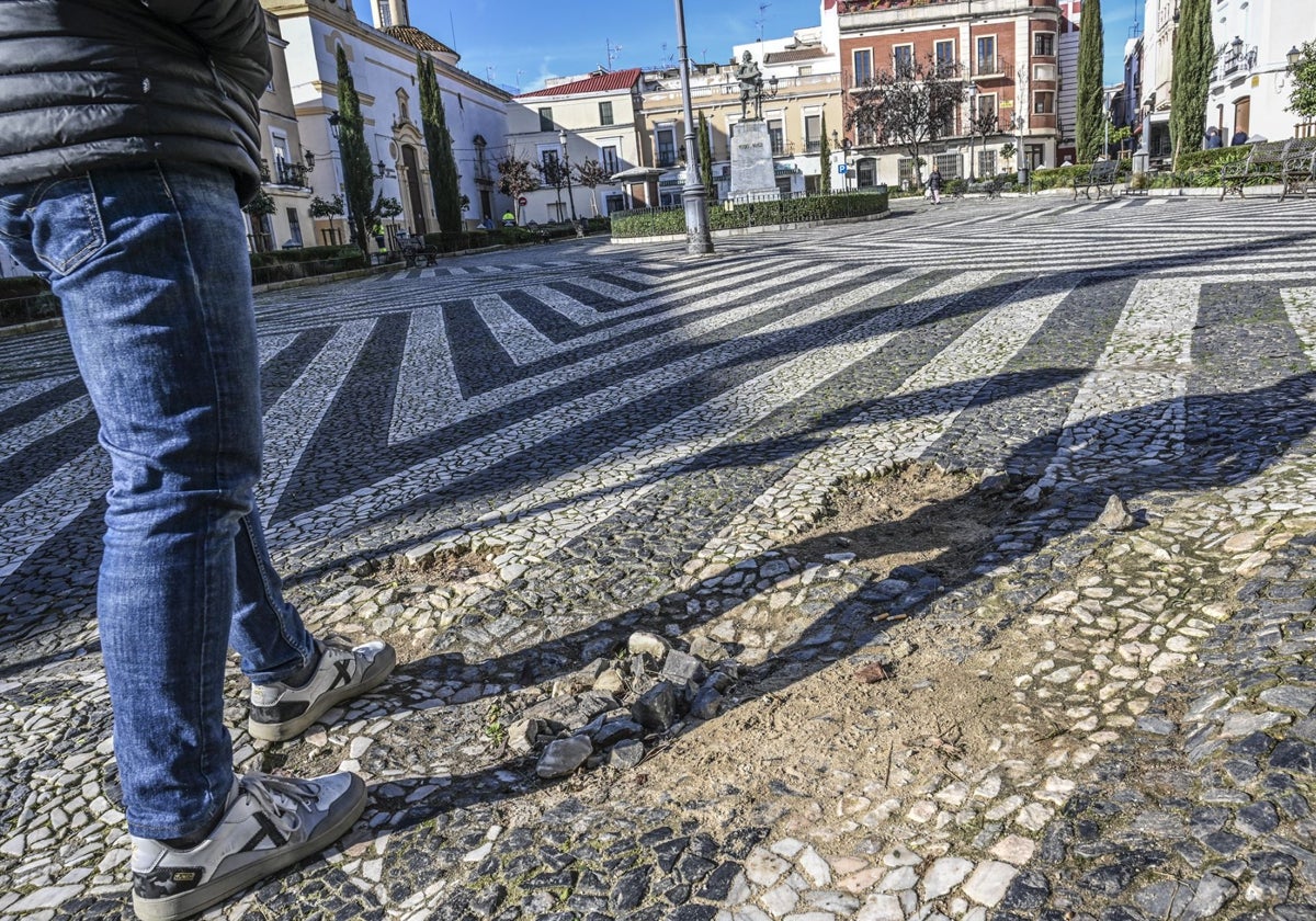 Plaza de Cervantes (plazuela de San Andrés) esta semana.