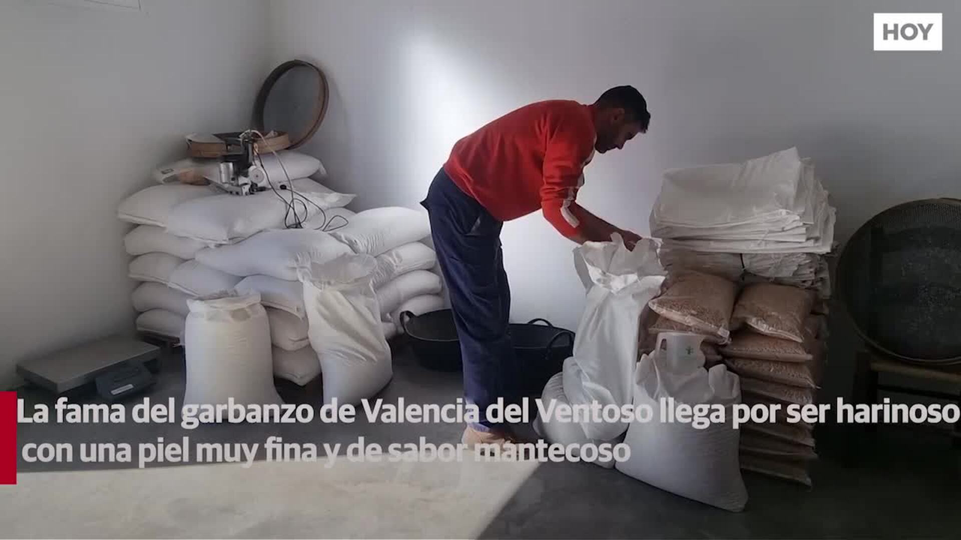 El garbanzo de Valencia del Ventoso ya tiene su sello de calidad