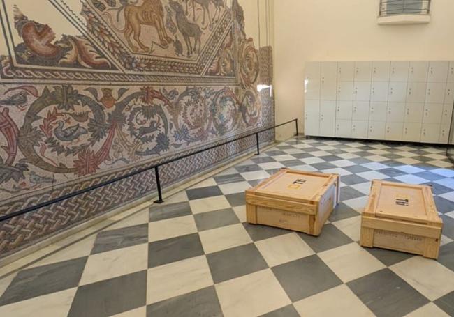 Las dos cajas de madera con los Rostros del Turuñuelo en el recibidor del Museo Arqueológico de Badajoz, este pasado miércoles.