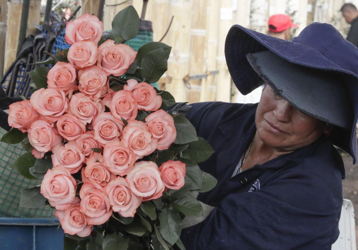 San Valentín 2025: ¿Cuánto se gastan los españoles y cuáles son los regalos más populares?