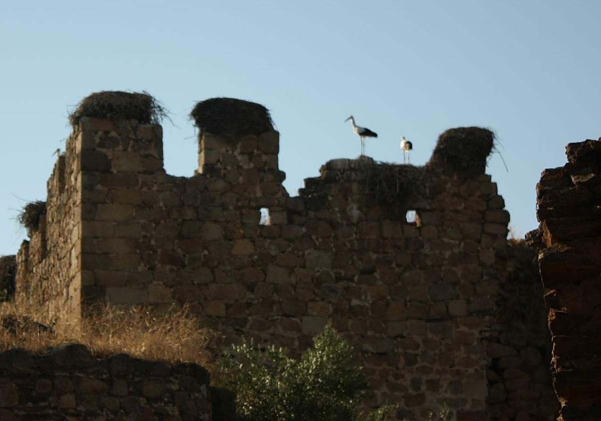 Así es el Castillo de los Herrera en Arroyo de la Luz declarado Bien de Interés Cultural