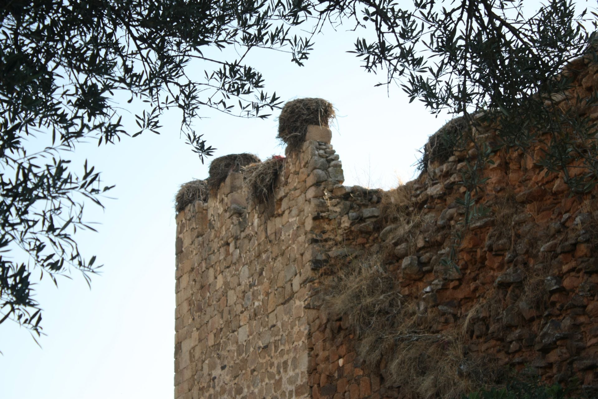 Así es el Castillo de los Herrera en Arroyo de la Luz declarado Bien de Interés Cultural