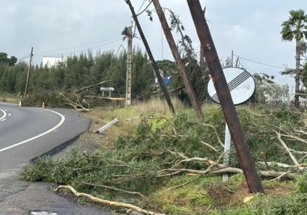 El fuerte viento derribó árboles y el tendido eléctrico.