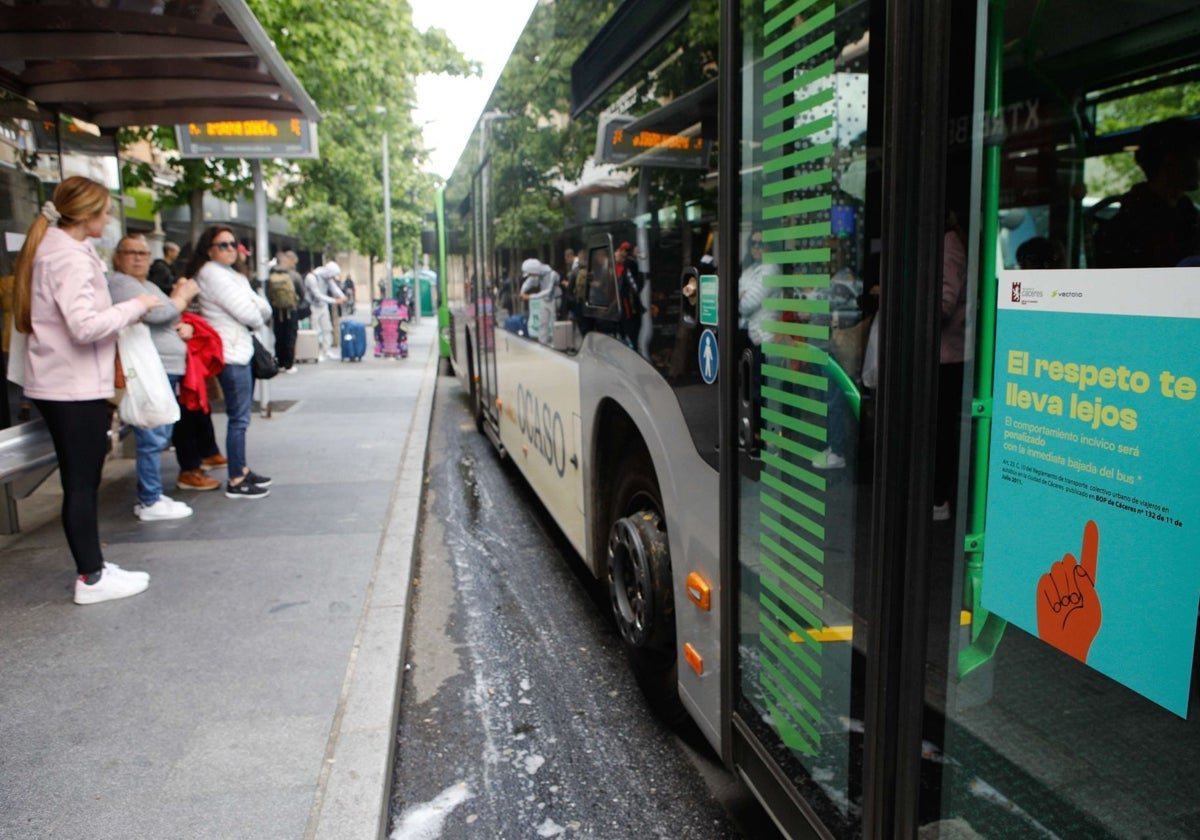 Imagen de archivo de la parada de bus situada en la avenida Clara Campoamor de Cáceres tomada en mayo de 2024.