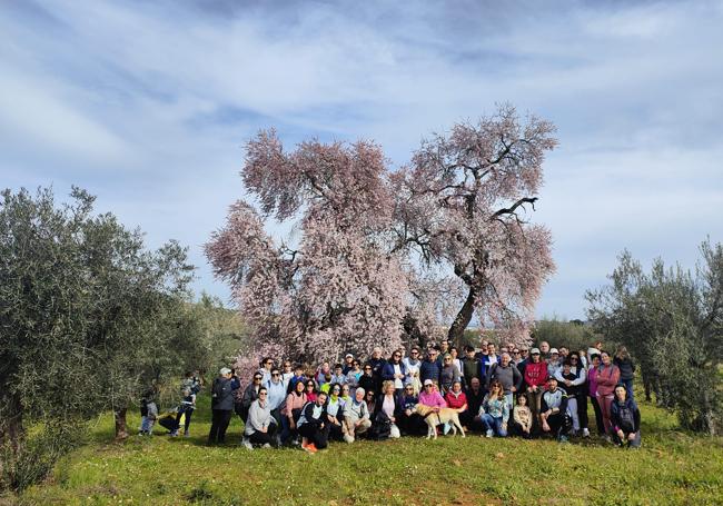 Visitantes junto al Almendro Real.