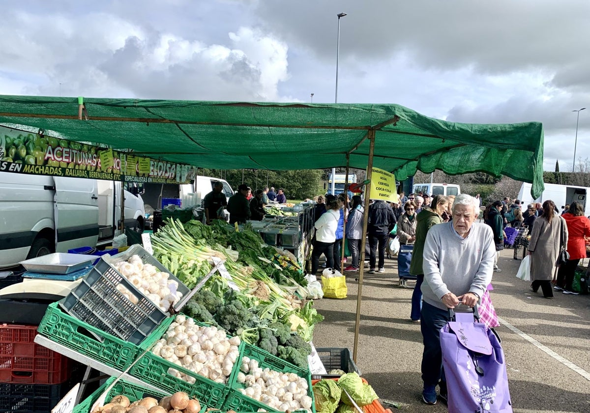 Imagen principal - Los vendedores del mercadillo de Cáceres recelan del traslado a Cordel de Merinas