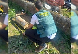 Un agente muestra una de las piezas recuperadas.