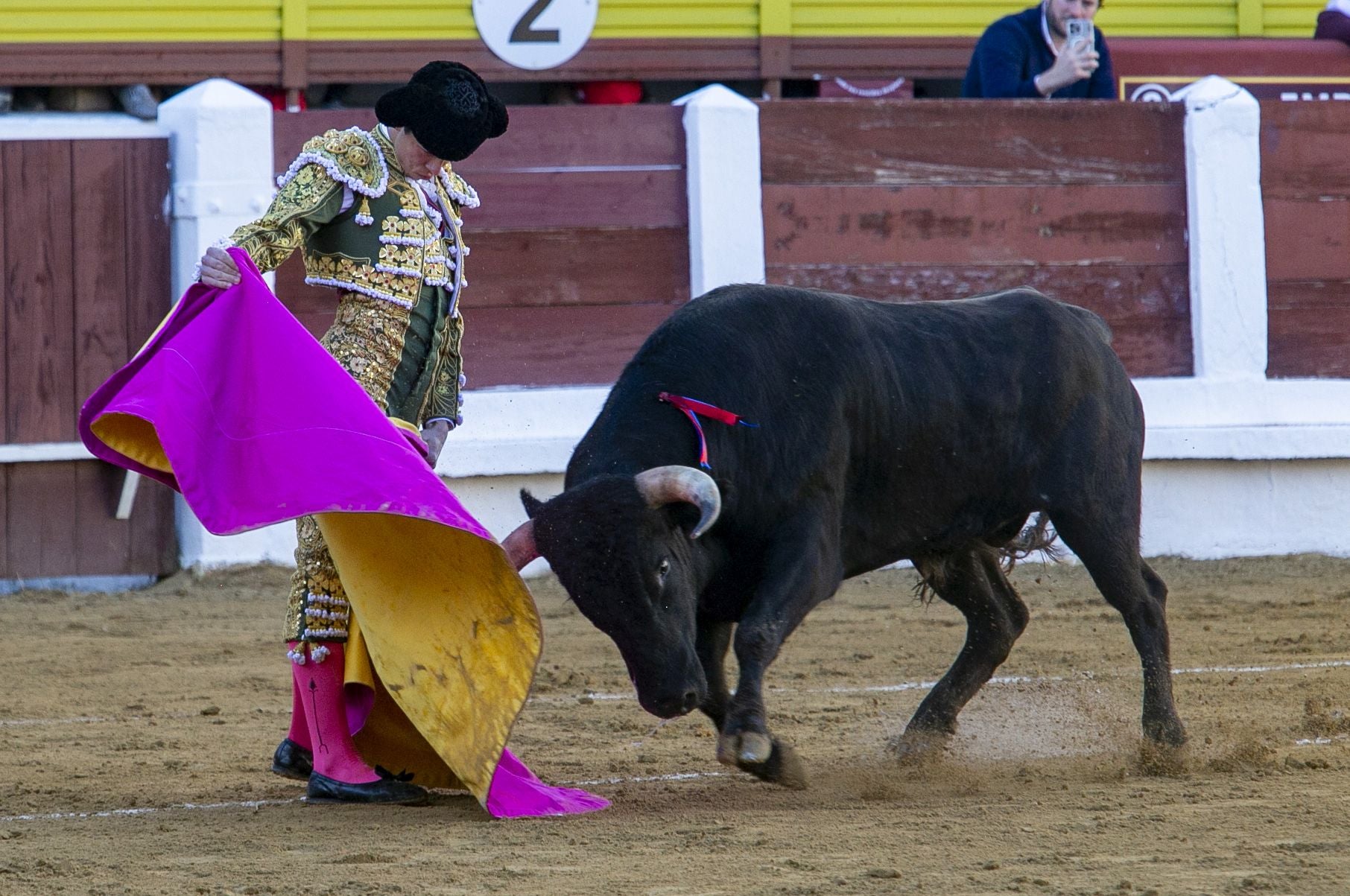 La novillada de Mérida, en imágenes