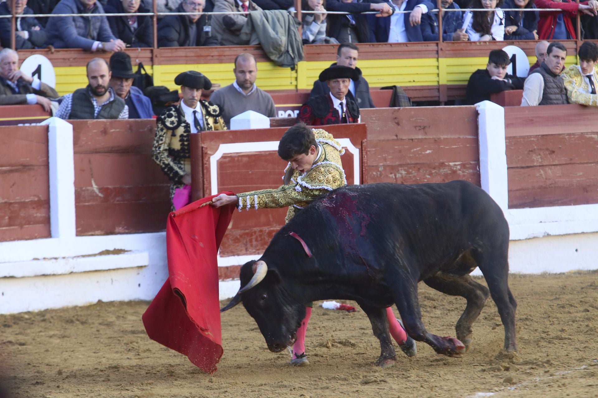 La novillada de Mérida, en imágenes