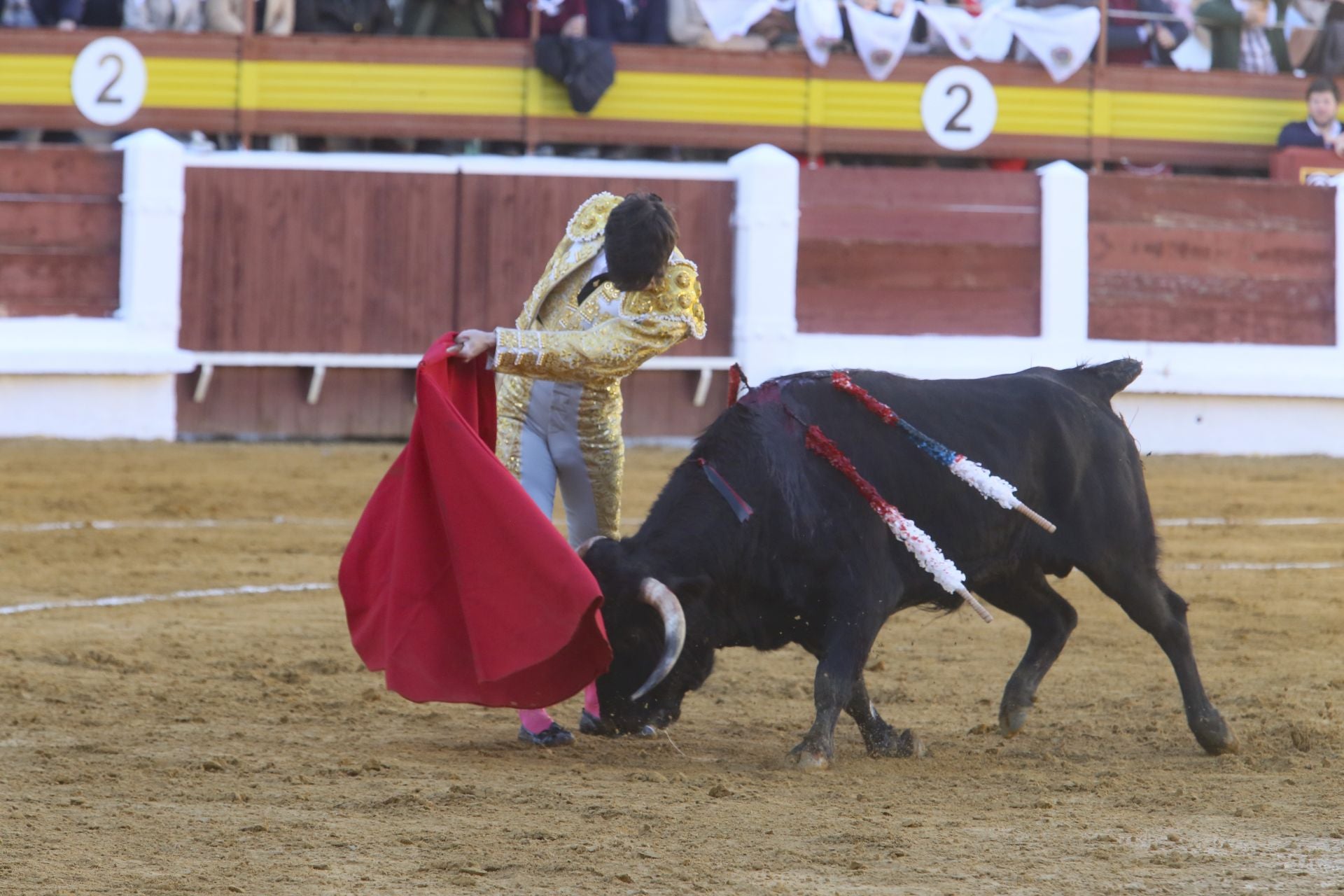 La novillada de Mérida, en imágenes