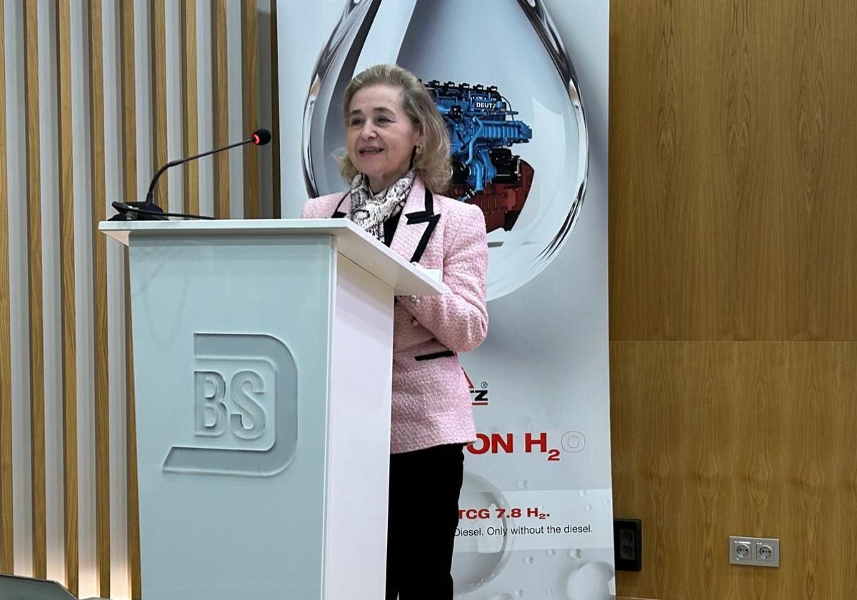 La consejera de Educación, Mercedes Vaquera, durante la inauguración de la planta de hidrógeno verde de Deutz Spain, este miércoles.