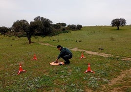 Agentes de la Guardia Civil rastrean la zona en la que se produjo la desaparición.