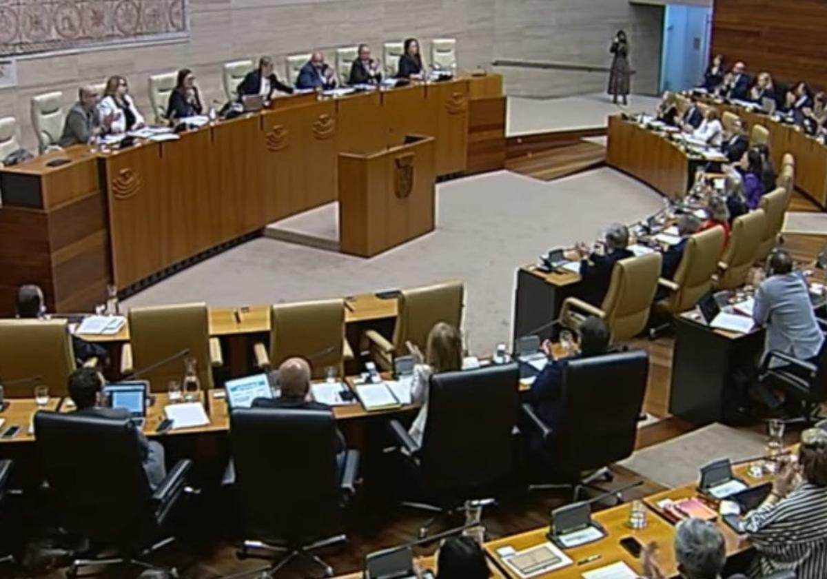 Pleno de la Asamblea de Extremadura, este jueves.