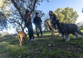 Dueños de perros con sus mascotas en el Paseo Alto de Cáceres. A la izquierda, Aldea, podenco que sufrió un corte provocado por un cristal.