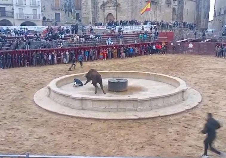 Momento de la cogida de este sábado en Trujillo.