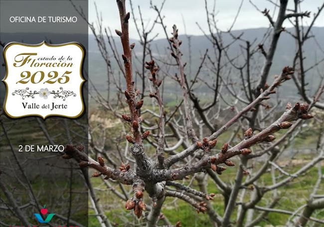 Última previsión de la oficina de Turismo del Valle, del 2 de marzo.