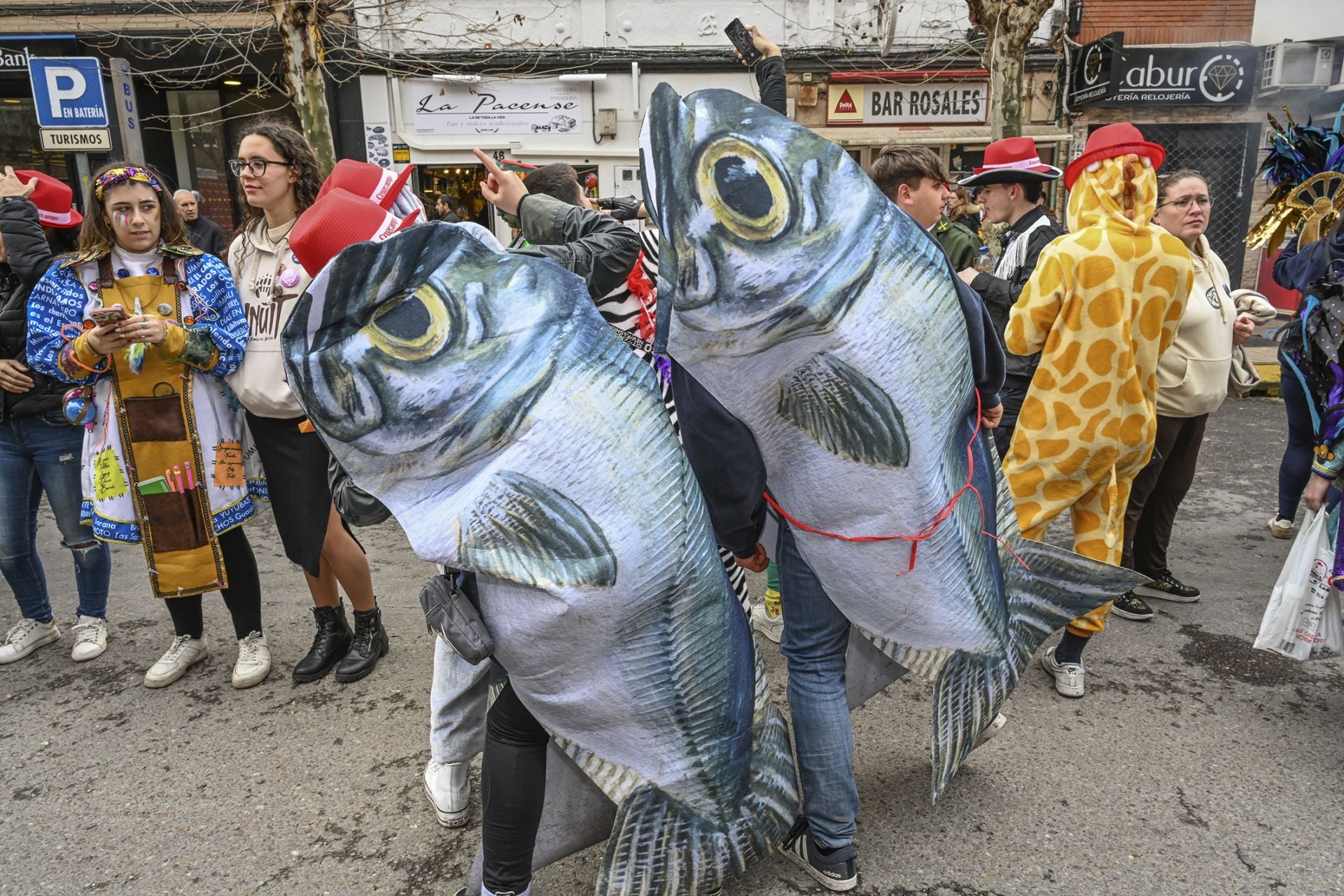 El Entierro de la Sardina del Carnaval de Badajoz 2025, en imágenes