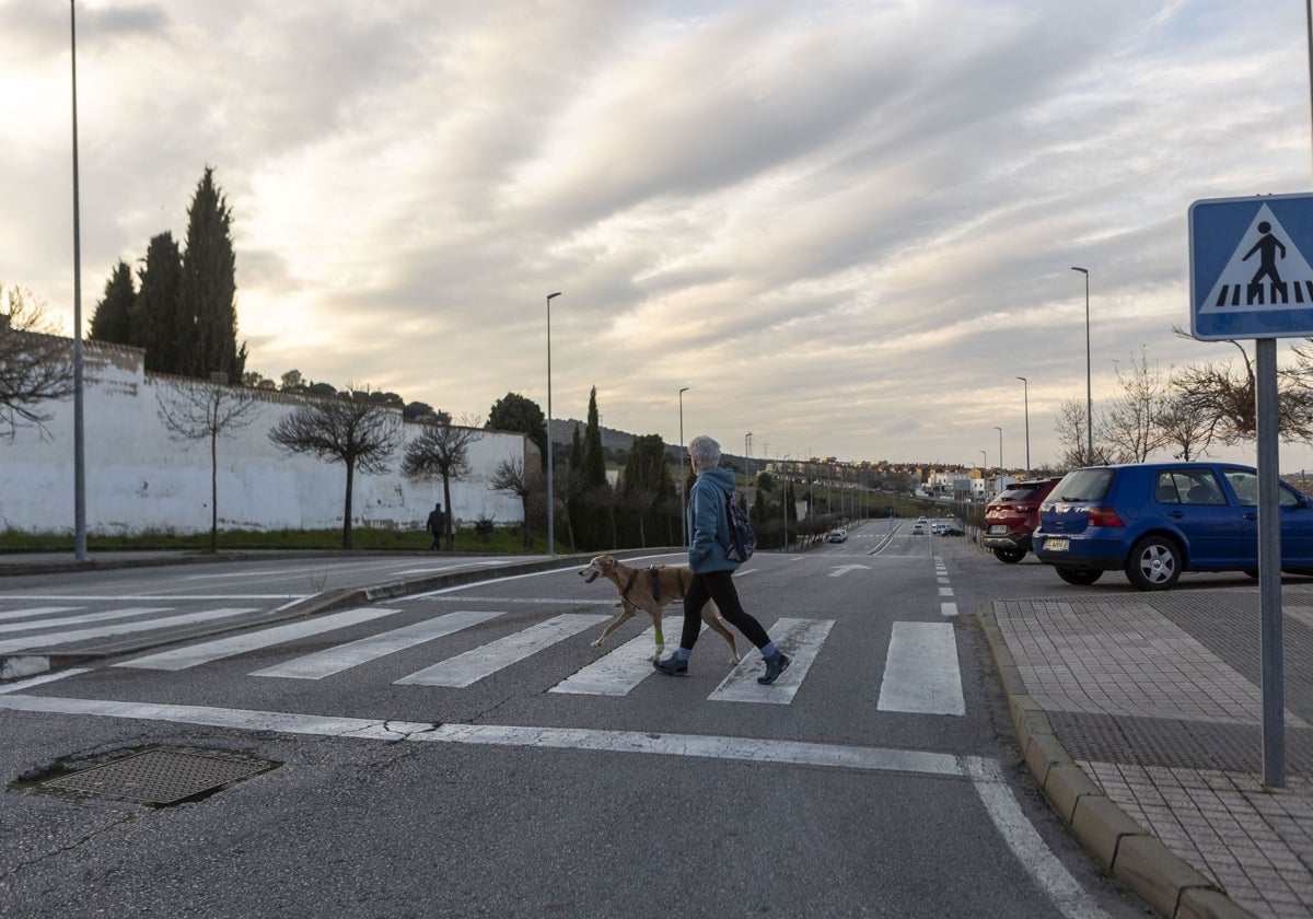 Una mujer pasea con su perro por las traseras del cementerio, donde se quiere llevar el mercado.