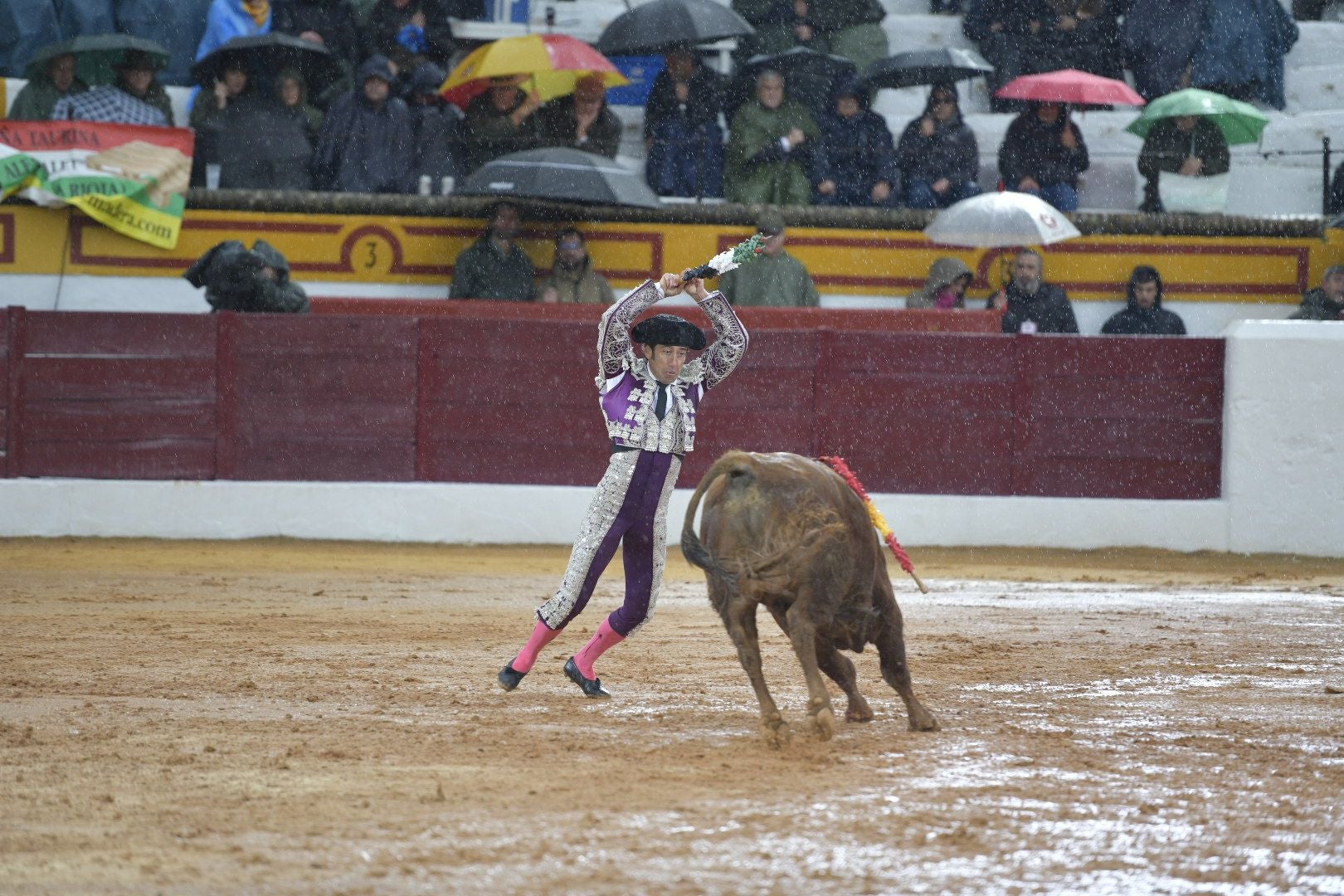 La novillada que abrió la feria de Olivenza, en imágenes