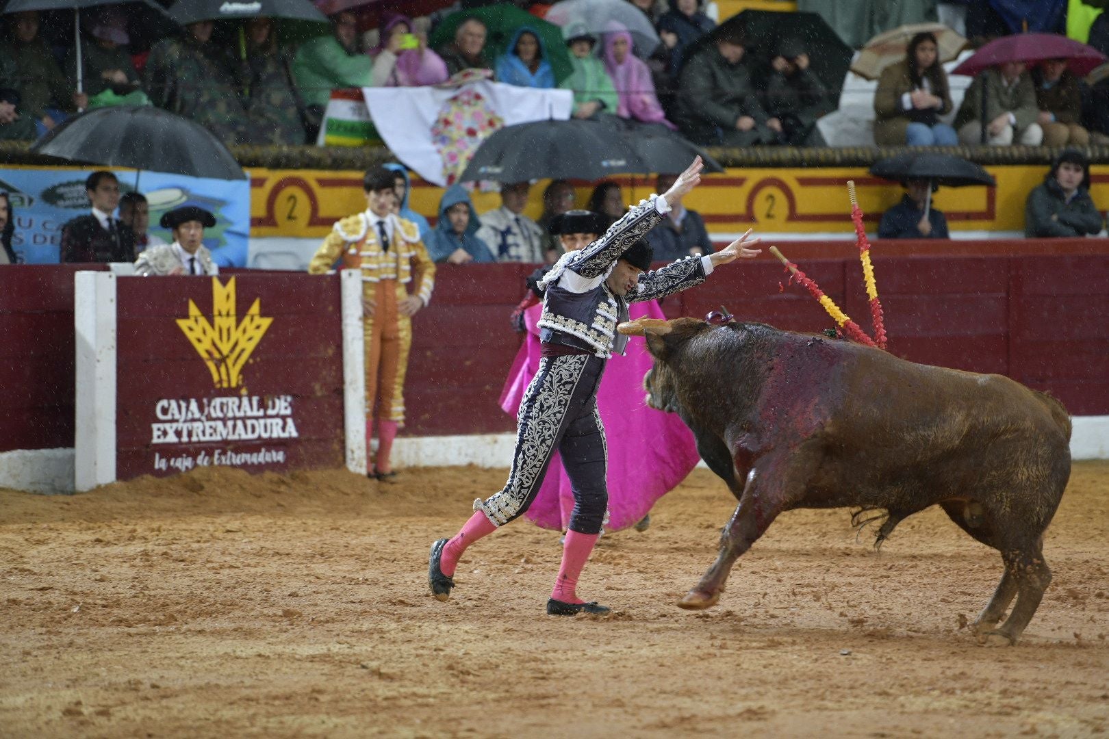 La novillada que abrió la feria de Olivenza, en imágenes