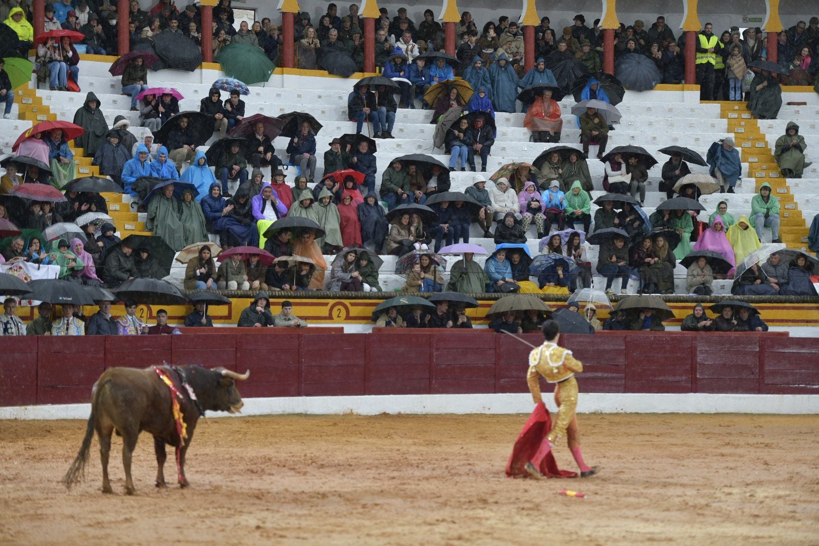 La novillada que abrió la feria de Olivenza, en imágenes