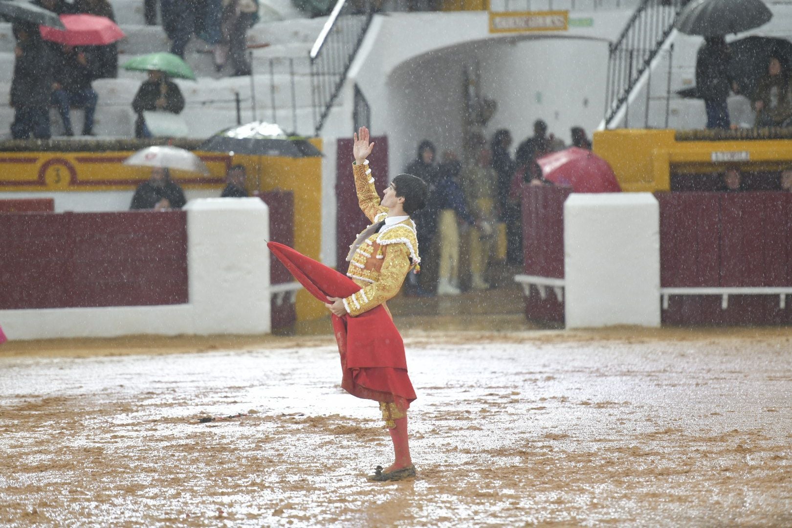 La novillada que abrió la feria de Olivenza, en imágenes