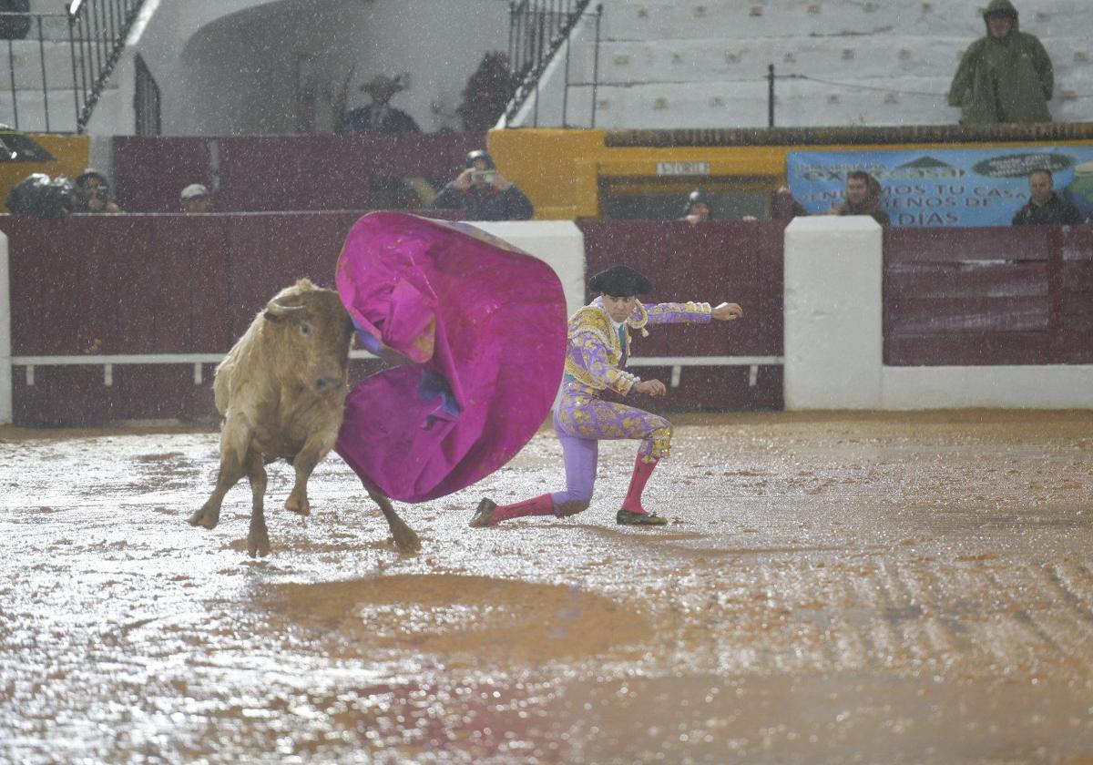 La novillada que abrió la feria de Olivenza, en imágenes