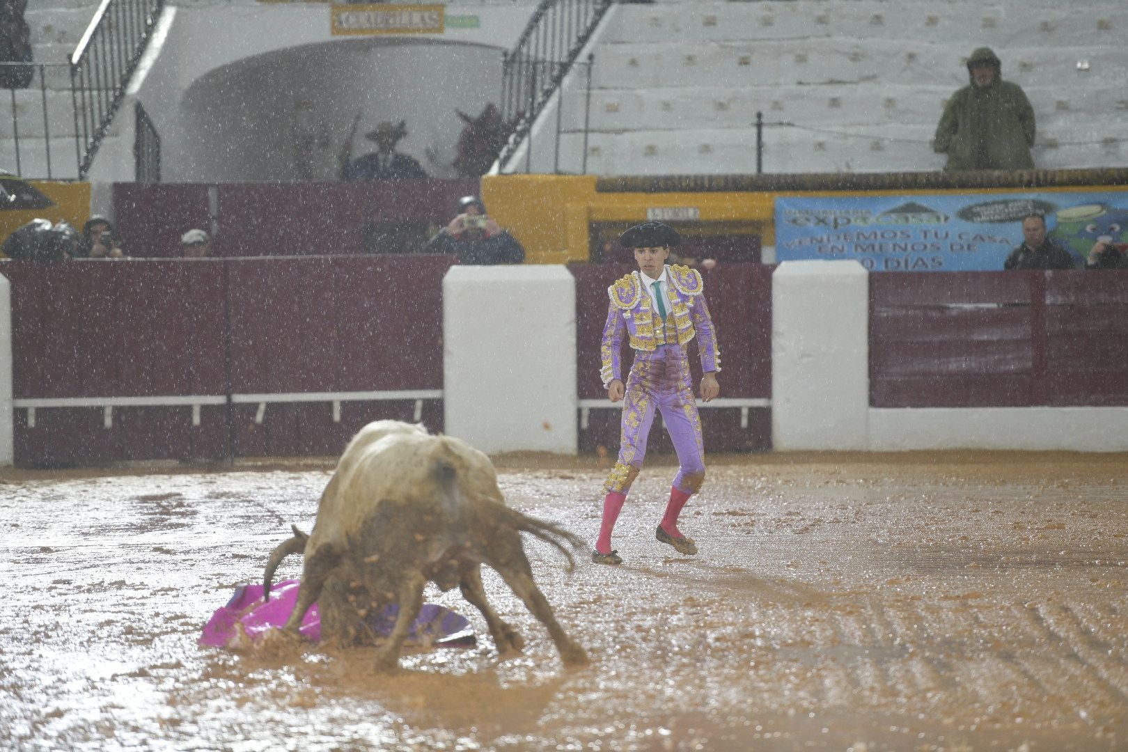 La novillada que abrió la feria de Olivenza, en imágenes