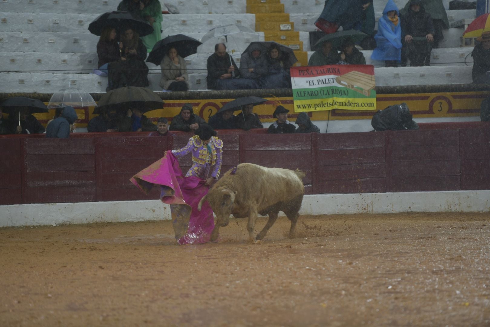 La novillada que abrió la feria de Olivenza, en imágenes