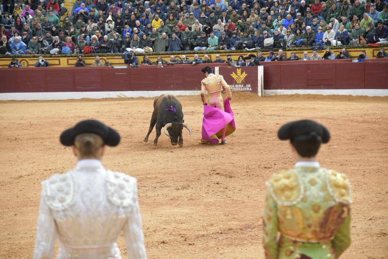 La novillada dominical de Olivenza, en imágenes