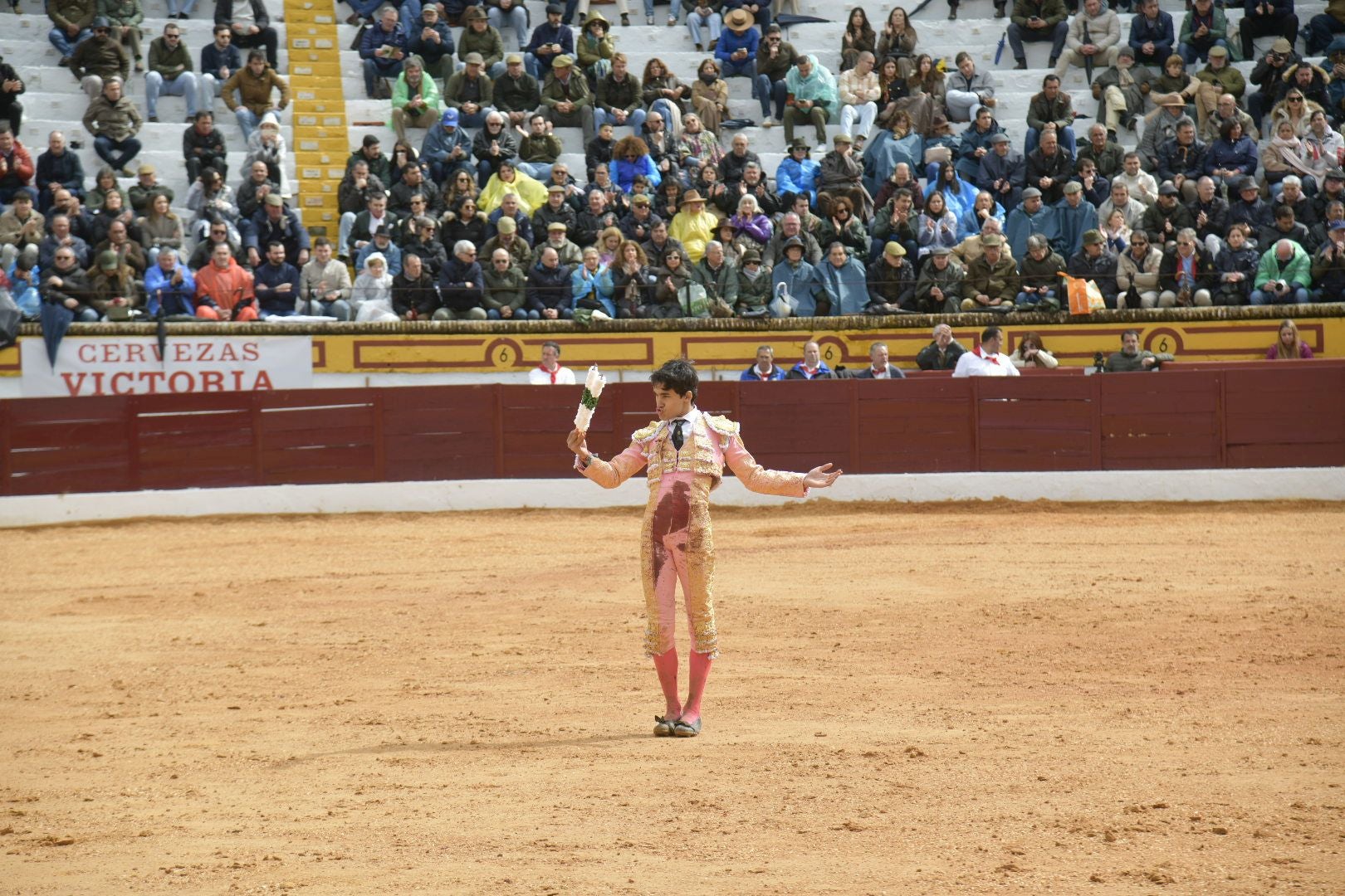 La novillada dominical de Olivenza, en imágenes