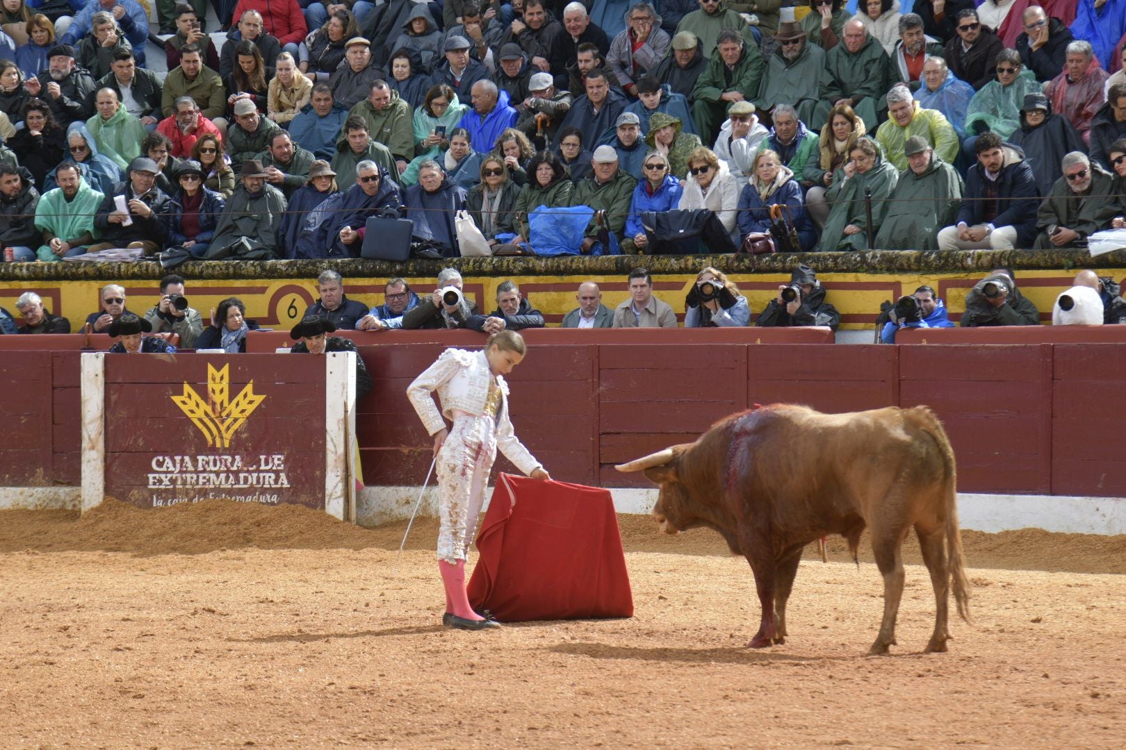 La novillada dominical de Olivenza, en imágenes